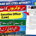 Punjab Safe Cities Authority Jobs 2026