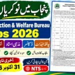 Child Protection and Welfare Bureau Punjab Jobs 2026
